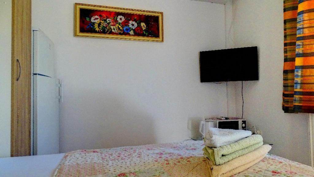 Studio Apartman I Mali Apartman ヴィル エクステリア 写真