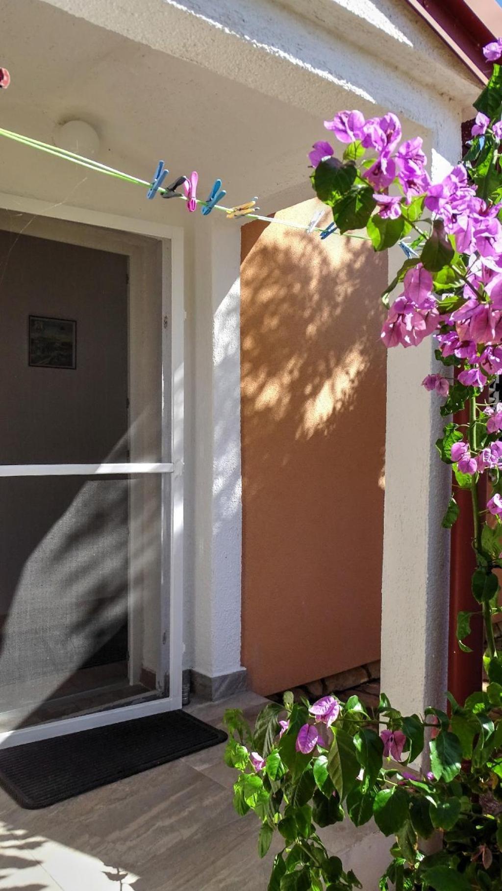 Studio Apartman I Mali Apartman ヴィル エクステリア 写真